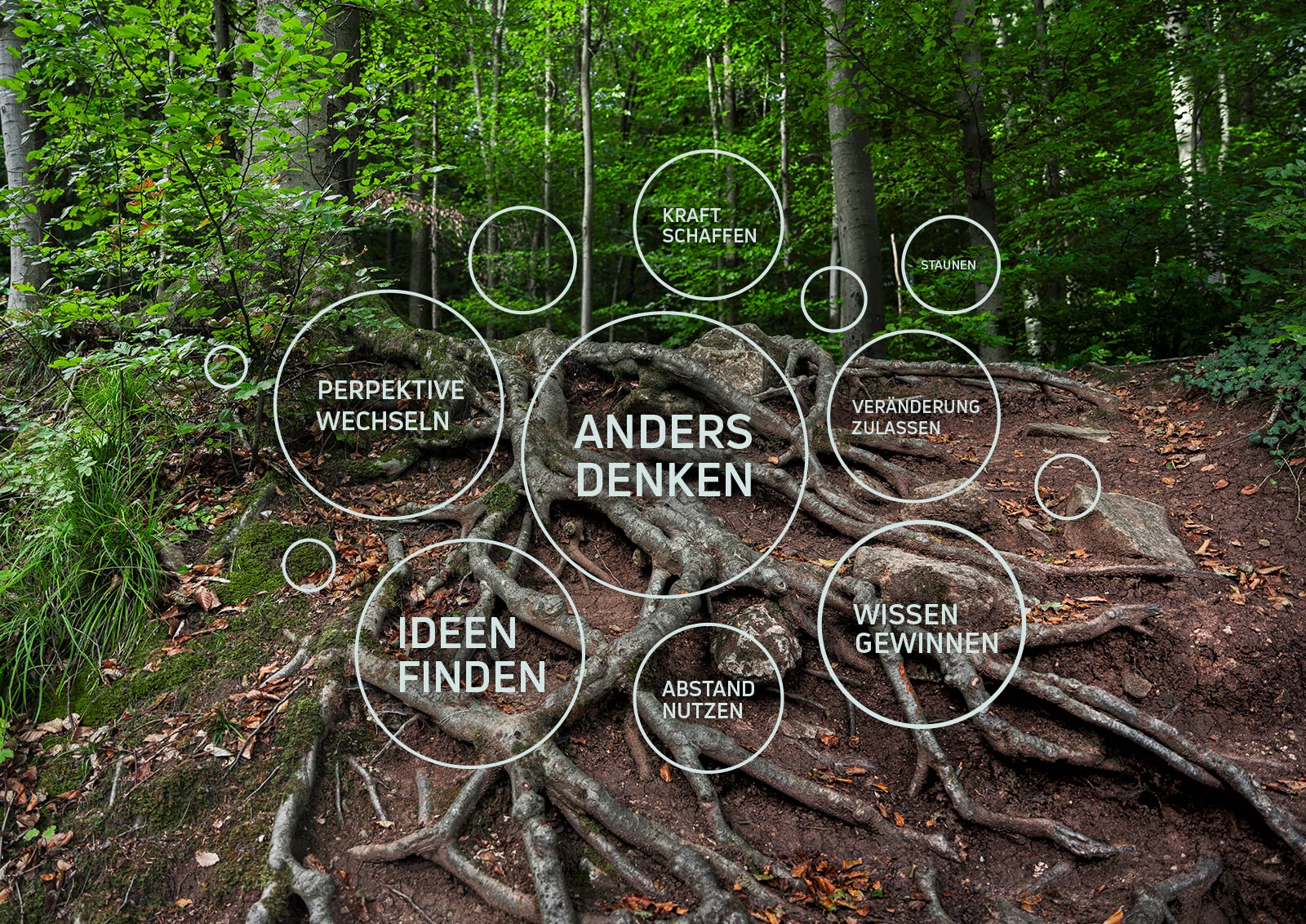 fs grafik wald kreise