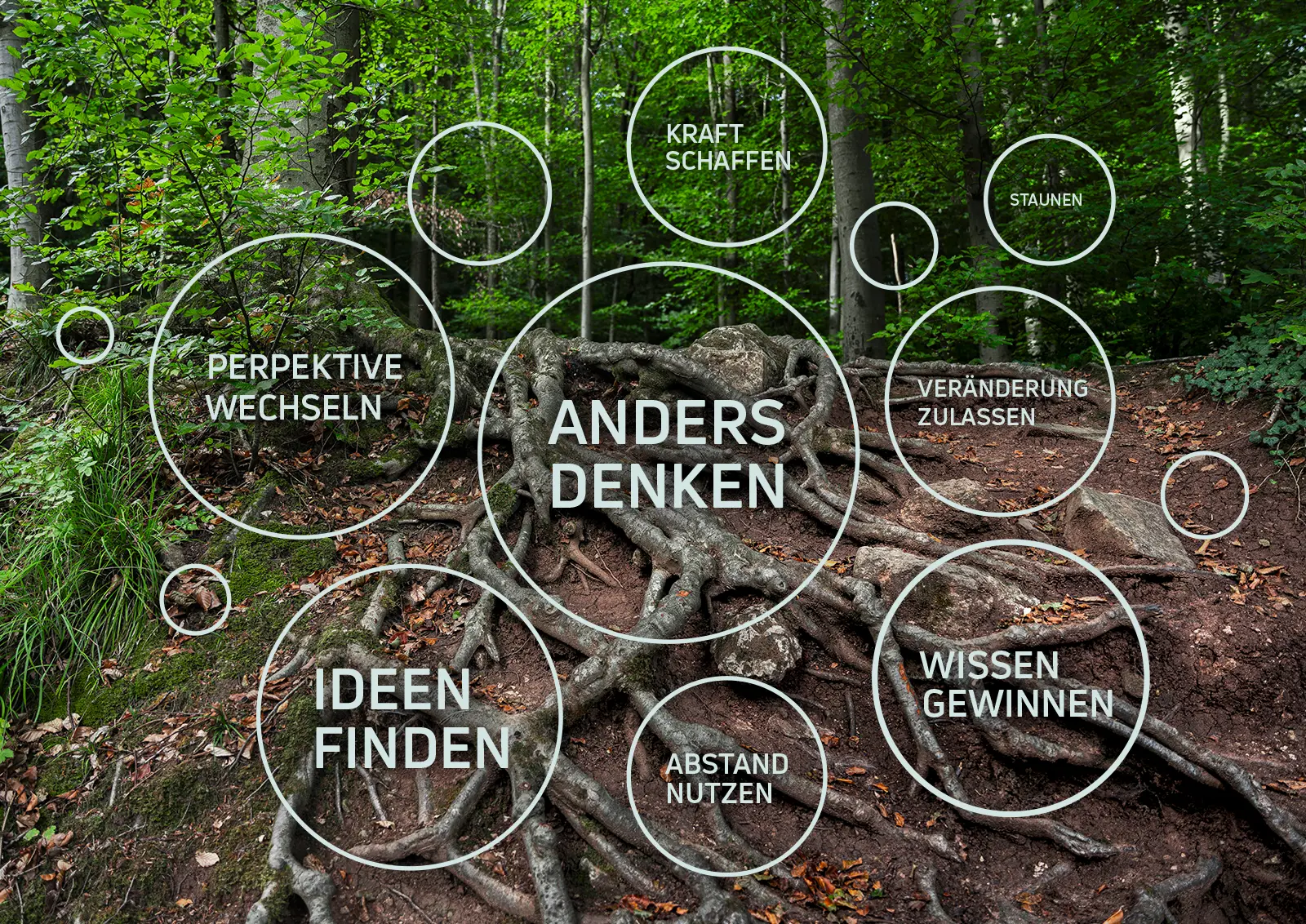 fs grafik wald kreise gr